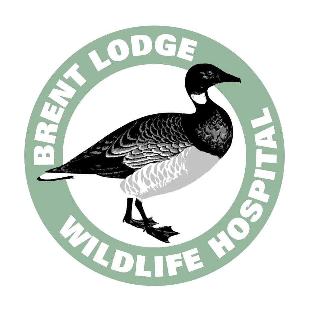 Brent Lodge Wildlife Hospital Logo