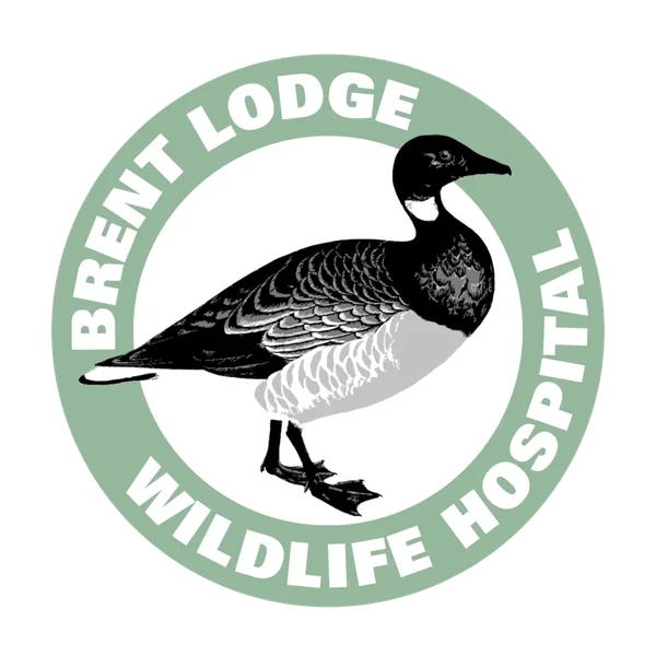 brent lodge - Sponsorships - Viking Extrusions Brent Lodge Wildlife Hospital logo
